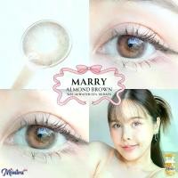 ราคา คอนแทคเลนส์ ขนาดกลาง ✨Brown / Gray / Almond✨ Marry (Montra) (1730398676496058386)