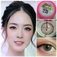 ราคา คอนแทคเลนส์ สาย ฝอ. รุ่น Mini Stella/Mini Vista Plus สีเทา/ตาล Gray/Brown มีค่าสายตาปกติ (0.00) เปลี่ยนแทนทุกเดือน (1729663782024546727)