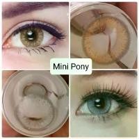 ราคา คอนแทคเลนส์ รุ่น Mini Pony สีเทา/ตาล Gray/Brown มีสายตาปกติ (0.00) เปลี่ยนแทนทุกเดือน (1729720510868261287)