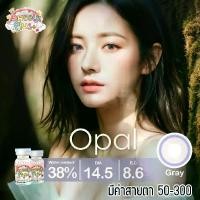 ราคา คอนแทคเลนส์ รุ่น Opal สีเทา/ตาล Gray/Brown มีค่าสายตา (0.00)-(-3.00) (1729685669430069671)