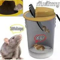 ราคา FREE SHIP【Summer Air】Mouse Trap กรงดักหนู แข็งแรง ทนทาน กับดักหนู ที่ดักหนู กรงหนู กรงดักหนูแบบสปริง (1731816427756947047)