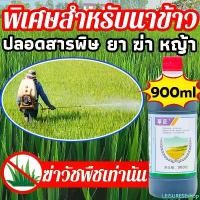 ราคา ️Flash Sale️ ความจุสูง900ml ยาฆ่า หญ้า ยา ฆ่า หญ้า ยาคุม-ฆ่า ในนาข้าว ยาฆ่าหญ้าในนาข้าว กำจัดวัชพืชในนาข้าวได้ ที่นิยมมากที่สุด (1731198033156277748)