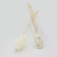 ราคา [เก็บเงินปลายทาง] ใยบวบไทยมีด้ามไม้ ใยบวบใส่ด้ามไม้ ขัดผิว ขัดตัว Luffa Thai (W08) (1732059101947922439)