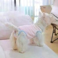 ราคา กางเกงสรีรวิทยาสุนัข, เหมาะสำหรับ Bichon, Bichon Frise, Schnauzer, และ Corgi, ผ้าอนามัย, เสื้อกั๊กสำหรับสัตว์เลี้ยง, เสื้อผ้าแมว (1731741997725025738)