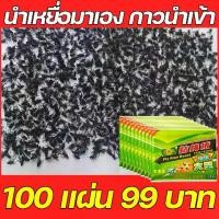 ราคา ถูกสุด !!! กาวดักแมลงวัน 10/50/100/200/500 แผ่น กาวดักแมลงวัน แผ่นกาวดักแมลงวัน ใช้งานง่าย กาวแน่น แผ่นกาวดักแมลงวัน (1731674086551684864)