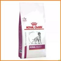 ราคา autoptshop คุณภาพรับประกันได้ Royal canin Renal Select dog อาหารสุนัข โรคไต ซีเล็ค 2กก สำหรับสุนัขเลือกกิน24/01/25 สุนัข คานิว่า มัน แมว อาหารเปียกผสมอาหารเม็ด (1730348106932783284)