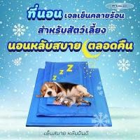 ราคา ที่นอนสุนัข แบบเย็น ที่นอนแผ่นเจลเย็น เย็นสบาย รุ่นหนา สำหรับสุนัขและแมว สุนัข เบาะรองนั่ง รองนอน ที่นอนหมา pet cool mat (1731813742757447074)