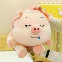 ราคา ตุ๊กตาหมู หมอนนอน ยาว แถบเพื่อน หมูยัดไส้ เหมาะสำหรับเด็กผู้ชาย ตุ๊กตาน่ารัก gloomy bear care bears ซอง กัน น้ํา ช้าง หู ขยับ chameleon jellycat สุนัข k 9 อยาก (1731315106442085379)