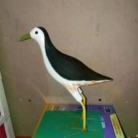 ราคา หุ่นนกกวัก/นกไก่านปลอม คล้ายของจริงจำนวน1ตัว ตาข่าย ไนลอน กิ๊บ ปีก (1731538843511391763)