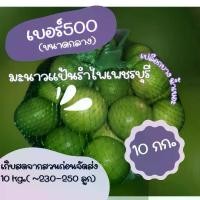 ราคา มะนาวแป้นรำไพเพชรบุรี เบอร์ 500 ขนาดกลาง เก็บสดใหม่ก่อนจัดส่ง ผลไม้ สด (1731385835286530330)