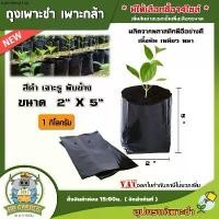 ราคา แฟลชเซลล์ KU ถุงเพาะชำ สีดำ ขนาด 1Kg. *มีให้เลือกซื้อ14ไซส์* เนื้อมัน เหนียว หนา ถุงเพาะ ถุงชำ ผลไม้ ต้นไม้ บอนสี ผักซอง ผัก (1731463383434167677)