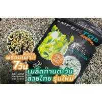 ราคา เมล็ดต้นอ่อนทานตะวัน ลายไทย ไซส์ใหญ่ AAA บรรจุ 1 กก. อัตรางอก 99% ผัก หญ้า หยาด น้ํา ค้าง กิ่งไผ่ ลูก ในช่วงฤดูร้อน เมล็ดพันธุ์ดอกไม้และพืช วานิลา ต้น แตงโมยักษ์ อิสราเอล (1731797918552853154)