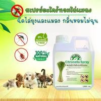ราคา สเปรย์ไล่ยุง สเปรย์กันยุง ขับไล่และป้องกันแมลง ออร์แกนิค สมุนไพร ตะไคร้หอมไล่ยุง ไล่แมลง กันยุง ไล่แมลงสาบ หอมกลิ่นตะไคร้ ขับไล่และป้องกันแมลง (1732225581525404334)