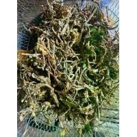 ราคา เห็ดลมทอด สมุนไพร 1000g มีทั้งใส่งา ไม่ใสงา (1730846357644609651)