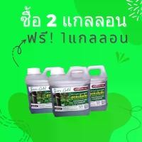 ราคา ผลิตภัณฑ์บำรุงหน้ายาง "พาราโกลด์" ปุ๋ยน้ำทาหน้ายาง เพิ่มน้ำยาง เพิ่มเปอร์เซ็นต์ ป้องกันโรคหน้ายางตายนึ่ง โปรโมชั่น 2ลิตร แถมฟรี! 1ลิตร (1729719945585527289)