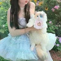 ราคา กระเป๋าเป้แมวผ้าขาวม้า จำลอง ตุ๊กตาแมวจำลอง ตุ๊กตาของเล่น แมว Ragdoll เหมาะสำหรับวันเกิด [COD] (1731802894055081309)