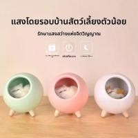 ราคา โคมไฟกลางคืนสัตว์เลี้ยง, แมวน้อยน่ารัก, แมว, โคมไฟสหายนอนข้างเตียง, การชาร์จ USB, แสงโดยรอบแบบสัมผัส, โคมไฟแมวสัตว์เลี้ยง (1731716695433643438)