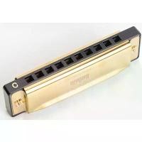 ราคา [พร้อมส่ง] เมาท์ออแกน เครื่องดนตรี เครื่องเป่า เล็กพกพาง่าย 4สี 1829 (1731748018844960326)