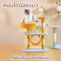 ราคา คอนโดแมว ของเล่นแมว บ้านแมว อุปกรณ์สัตว์เลี้ยง ที่ลับเล็บแมว ของใช้แมว ที่ฝนเล็บแมวCD8 อ่าง ลับเล็บ แมววง รี ขนาดใหญ่ ไม้ ตก ติด กระจก อ่างฝน เล็บ และ นอน ได้ ไม้ตก สูญญากาศ นก โซฟา (17317710752899754