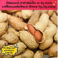 ราคา ถั่วลิสงอบแห้ง สำหรับ นก กระรอก แพรี่ด็อกแและสัตว์ฟันแทะ มี3ขนาดให้เลือก1kg.,2kg.และ5kg. จัดส่งจากกทม (1731675755415439348)