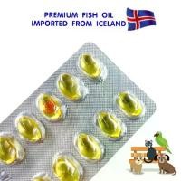 ราคา โอทรีโกลด์ O3gold น้ำมันปลา (1แผง) O3 gold วิตามิน บำรุงผิว บำรุงขน แก้ขนร่วง สุนัข แมว นก หมา Fish oil (1731997352928315945)