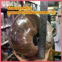 ราคา omniposhop คุณภาพรับประกันได้ รังเพาะ รังมะพร้าว ลูกมะพร้าวรังเพาะกระรอก นก (1730386559496521814)