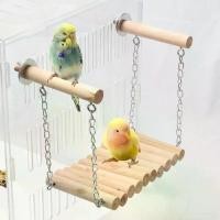 ราคา คอนยืนนกแก้วขนาดเล็ก ของเล่นนกแก้ว บันไดนก ชิงช้านก ชุดชิงช้าและสะพานแขวนไม้ธรรมชาติสำหรับนกแก้ว ขอบสนาม นก (1732103980556847112)