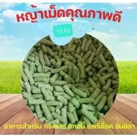 ราคา ท่อก็อตอะไหล่แต่ง100 ที่ขายดี ที่สุดในสัปดาห์นี้ น้ําอบทอง แนะนำ ภาพหลวงปู่เนียมวัดน้อย ขาย ร้อน หญ้าอัดเม็ดทิมโมธี สำหรับเต่า กระต่ายและสัตว์กินพืช 10กก. หอมเขียวใช้หญ้าที่เพิ่งตัดจากต้น First Cut (1