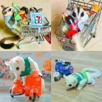 ราคา ถูก​ที่สุดเสื้อชูก้า​พร้อมสายจู​ง[[[ Pepzi&Family ]]]] เสื้อพร้อมสายจูง ชูก้าร์ ชูการ์ไกรเดอร์ ชูการ์ไกลเดอร์ (1731627355359119090)