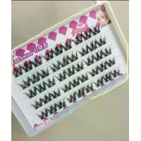 ราคา ขนตาช่อ ขนตากาวในตัว ขนตาปลอมแบบช่อ 3D RYAN SWOO COMIC EYE ASHES (1731448275070453146)