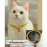 ราคา COD ปลอกคอ สร้อยคอ ลูกปัดทอง ขนาด 8 มิล สำหรับแมว หมา สัตว์เลี้ยง ยืดได้ เส้นเอ็น กระพรวน (1731643115333583890)