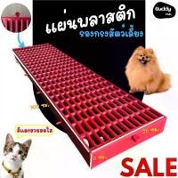 ราคา แผ่นรองกรงสัตว์เลี้ยง รุ่นหนาพิเศษ !! แผ่นแสลทพลาสติก แผ่นปูพื้น ขนาด 25x100 หนา 5 เซนติเมตร กรงหมา แผ่นกันลื่น แผ่นรองกรง แผ่นปูพื้น สัตว์เลี้ยง กรงสัตว์ (1732187854380567370)
