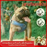 ราคา เชือกจูงสุนัข สายจูงสุนัข สายรัดอกสุนัข ระบายความร้อน สำหรับหมาและแมว หมา สัตว์เลี้ยง ราคาถูก พร้อมส่ง พันธุ์กลาง-ใหญ่ หลายสี หลายไซส์ สายจูง สายรัดอก สายจูงสุนัข พันธุ์กลาง-ใหญ่ (1730273845598456304)