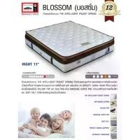 ราคา LUCKY MATTRESS ที่นอนสปริง ระบบ THE INTELLIGENT POCKET SPRING ขนาด 6ฟุต / 5ฟุต รุ่น BLOSSOM หนา 11 นิ้ว (1729756709298473876)