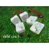 ราคา แบบอัดได้ 120 วิ ตัวอัดเสียง เครื่องอัดเสียง กล่องอัดเสียงตุ๊กตา เครื่องอัดเสียงขนาดเล็ก สำหรับการ DIY ต่างๆ (1730223751369361999)