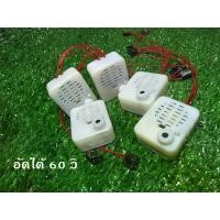 ราคา แบบอัดได้ 60 วิ ตัวอัดเสียง เครื่องอัดเสียง กล่องอัดเสียงตุ๊กตา เครื่องอัดเสียงขนาดเล็ก สำหรับการ DIY ต่างๆ (1730223737124391503)