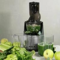 ราคา เครื่องปั่นน้ำผลไม้ Kuvings Whole Slow Juicer Model EVO820(NS-1226) เครื่องปั่น. เครื่องปั่น ใบมีด (1731818105664275747)