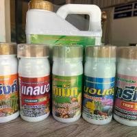 ราคา น้ำตาลทางด่วน สาหร่ายสกัด ซิงค์ แมกนีเซียม แคลเซียมโบรอน ฮอร์โมนพืช (1729696361825732882)