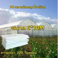 ราคา หนา 200ไมครอน UV7% พลาสติกPE คุณภาพสูง พลาสติกใสกันฝน พลาสติกปูบ่อ ผ้ายางกันฝนใส ผ้าคลุมโรงเรือน โรงเรือนเพาะชำ พลาสติกใสโรงเรือน พาสติกโรงเรือน พลาสติกใสคลุมโรงเรือน พลาสติกคลุม (1731792724028720797)