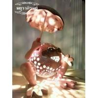 ราคา โคมไฟกบกางร่ม งานไม้/กะลามะพร้าว (1729633196002282465)