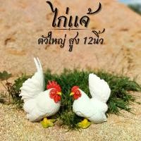ราคา ไก่แจ้เซรามิคแพ็คคู่ไก่คู่มงคล ตุ๊กตาเซรามิค ไก่เซรามิค ไก่แก้บน รูปปั้นแต่งสวน รูปปั้นไก่ชน ไก่เสมือนจริง ไก่ใหญ่ กระปุกออมสิน มีออมสิน หยอดเหรียญ ไก่แจ้มงคล (1729754182242503205)