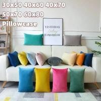 ราคา ปลอกหมอน, วัสดุกำมะหยี่, ปลอกหมอนอิง, เหมาะสำหรับโซฟา, ปลอกหมอนอิง, 30x50, 40x60, ปลอกหมอนอิงโซฟาห้องนั่งเล่น, ปลอกหมอนอิงทรงสี่เหลี่ยม, ปลอกหมอนอิงเอว, ปลอกหมอนเตี้ย, ขนาดใหญ่, (1731761103713502441)