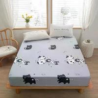 ราคา ชุดที่นอน ผ้าปูที่นอนรัดมุม 1 ชิ้น ทำจากโพลีเอสเตอร์ 100% มีแถบยางยืด เหมาะสำหรับเตียง ปลอกหมอน ต้องสั่งแยกต่างหาก (1730070998844606863)
