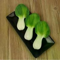 ราคา โมเดลผักจำลอง, อุปกรณ์ประกอบฉากกะหล่ำปลีมะเขือยาว, ตกแต่งจาน, แตงกวาปลอม, ผักสีเขียว, ตู้ครัว, เครื่องประดับขึ้นฉ่ายและผักชีฝรั่ง (1731819576414799817)