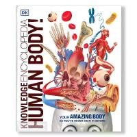 ราคา DKTODAY หนังสือ KNOWLEDGE ENCYCLOPEDIA HUMAN BODY Dorling Kindersley (1729758325690567092)