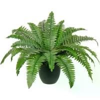 ราคา พืชกระถางใยมะพร้าวปลอม, ใยมะพร้าวบอสตันต้นจริง, สำหรับกลางแจ้งและในร่ม, พืชพวงมาลัยใยมะพร้าวเทียม, เหมาะสำหรับลาน, สวน, บ้านไร่, หน้าต่าง, สำนักงาน, ตกแต่งห้องนั่งเล่น, ของตกแต่งบ้าน (1732196167960791