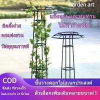 ราคา กุหลาบ ไม้เลื้อย สนับสนุนการเจริญเติบโตของพืช ซุ้มกุหลาบ สวน ซุ้มดอกไม้ สวนกุหลาบ ตกแต่งสวน ไม้เลื้อยเถาวัลย์ (1731481359369603179)