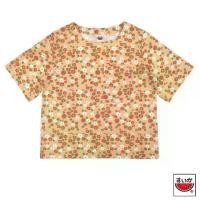 ราคา เสื้อแตงโม (SUIKA) - เสื้อคอปาด แขนสั้น เอวลอย (ผ้าฟ็อค) (ผ้าไม่ยืด) ( FO.C-002 ) (1729793131960437568)