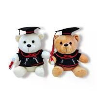 ราคา แว่นตา ของขวัญที่ระลึก หมีรับปริญญา หมวกปริญญาตรี สไตล์การ์ตูน ตุ๊กตาผ้ากำมะหยี่ง่าย ตุ๊กตาหมอนหมี (1731889988993713850)