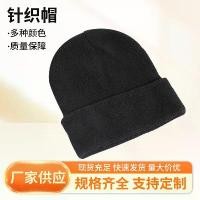 ราคา หมวกถักโพลีเอสเตอร์สีดำ, หมวกธรรมดา, หมวกผู้ชาย, ในสต็อก, หมวกไหมพรม, หมวกถักโพลีเอสเตอร์, ส่งออก (1731936071892175840)